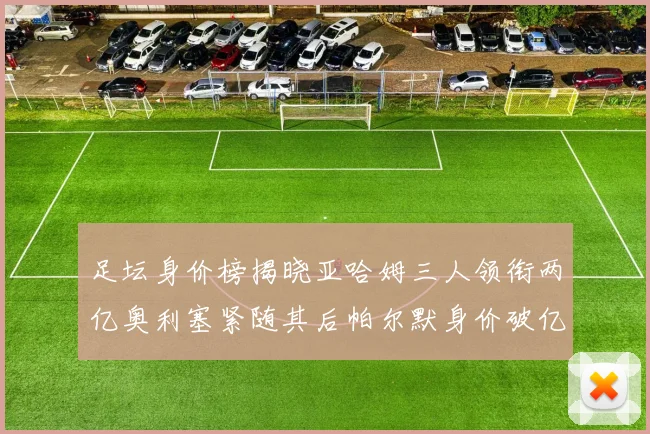 足坛身价榜揭晓亚哈姆三人领衔两亿奥利塞紧随其后帕尔默身价破亿