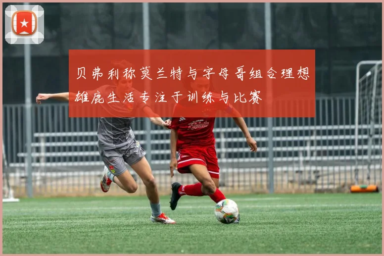 贝弗利称莫兰特与字母哥组合理想雄鹿生活专注于训练与比赛